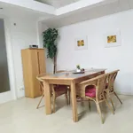 Rent 3 bedroom apartment of 90 m² in Regensburg