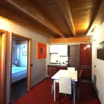 Rent 3 bedroom apartment of 80 m² in Segrate