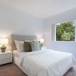 Rent 2 bedroom apartment in Lane Cove