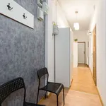 Rent a room in poznan