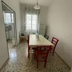 Rent 5 bedroom apartment of 130 m² in Bologna