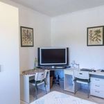 Rent a room in Roma