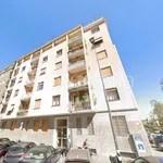 Rent 2 bedroom apartment of 70 m² in Milano