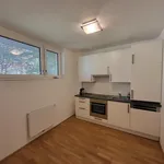 Rent 2 bedroom apartment of 49 m² in Graz