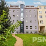 Rent 1 bedroom apartment of 24 m² in Praha