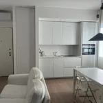 Rent 1 bedroom apartment of 45 m² in Padova