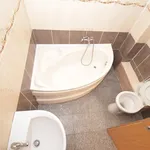 Rent 2 bedroom apartment of 60 m² in Timisoara