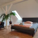 Rent 4 bedroom apartment of 130 m² in Essen