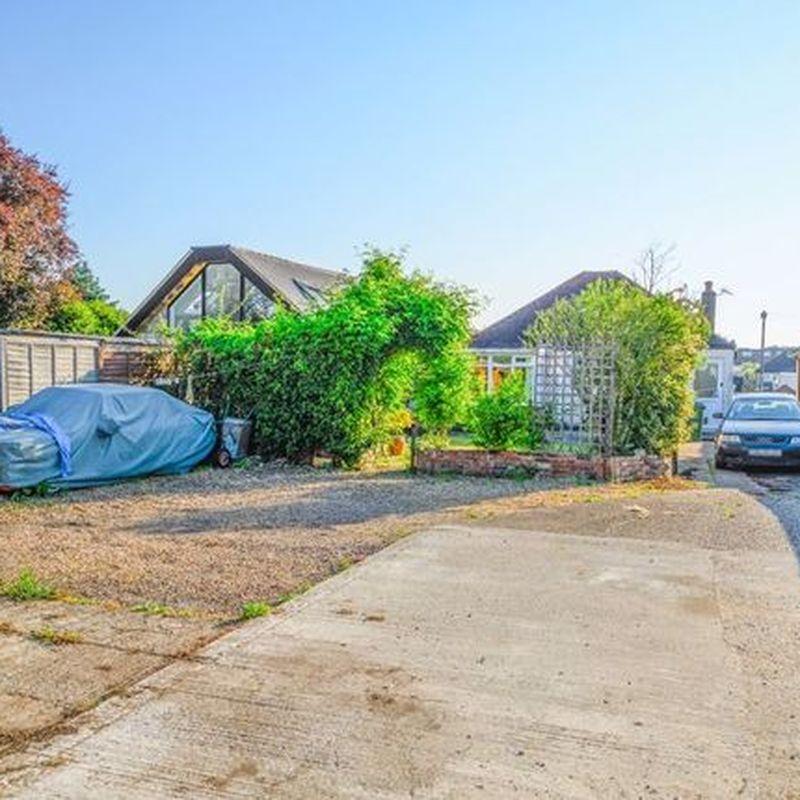 Detached bungalow to rent in The Grove, Walton-On-Thames KT12