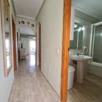 Alquilo 2 dormitorio apartamento de 56 m² en Elx / Elche