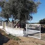 Rent 5 bedroom house of 140 m² in Ragusa