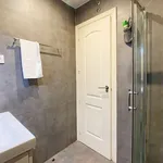 Rent 1 bedroom apartment of 60 m² in madrid