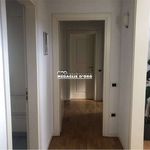 Rent 5 bedroom apartment of 85 m² in Modena