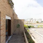 Rent 1 bedroom apartment in Porto