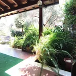 Rent 5 bedroom house of 121 m² in Roma