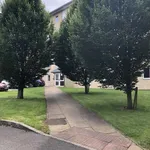 Rent 1 bedroom flat in Bradford