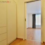 Rent 1 bedroom apartment of 36 m² in Praha 19