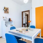 Rent 3 bedroom apartment of 90 m² in Livorno