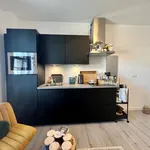 Rent 2 bedroom apartment of 53 m² in Binnenstad