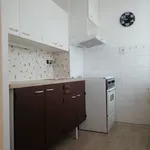 Rent 1 bedroom apartment in Náchod