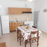 Rent 3 bedroom apartment of 80 m² in Castrignano del Capo