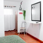 R. Luís Soares, Lisbon - Amsterdam Apartments for Rent