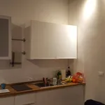 Rent 1 bedroom apartment of 33 m² in Turin