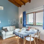 Rent 1 bedroom house of 35 m² in Acireale