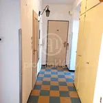 Rent 3 bedroom apartment in Brno