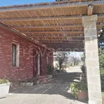 Rent 2 bedroom house of 50 m² in Sannicola