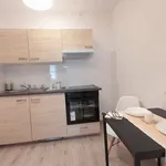 Rent 1 bedroom apartment of 37 m² in ul. Jagiellońska