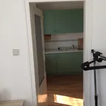 Rent 3 bedroom apartment in Brno