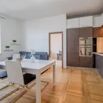 Rent 3 bedroom apartment of 70 m² in Praha