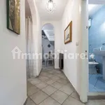 Rent 2 bedroom apartment of 50 m² in Florence