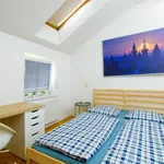 Rent 1 bedroom apartment in Capital City of Prague