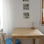 Rent 1 bedroom apartment of 32 m² in Umkirch