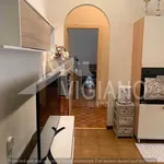 Rent 2 bedroom apartment of 45 m² in Foggia