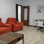 Rent 5 bedroom apartment of 110 m² in Padua