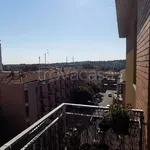 Rent 3 bedroom apartment of 75 m² in Bologna