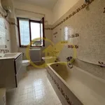 Rent 5 bedroom apartment of 134 m² in Potenza Picena