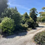 Rent 1 bedroom house in motueka