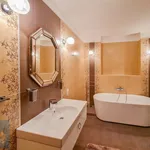 Rent 3 bedroom apartment in Praha 1