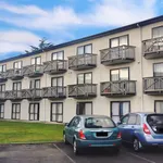 Rent 1 bedroom apartment in Hamilton