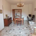 Rent 3 bedroom apartment of 100 m² in Frosinone