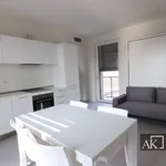 Rent 1 bedroom apartment of 49 m² in Novara