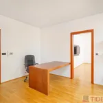 Pronajměte si 3 ložnic/e byt o rozloze 114 m² v Prague