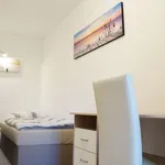 Rent 1 bedroom apartment of 40 m² in Dusseldorf