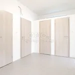 Rent 2 bedroom apartment of 68 m² in Choceň