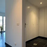  appartement avec 1 chambre(s) en location à Lauwe