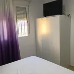 Rent 5 bedroom apartment in Valencia